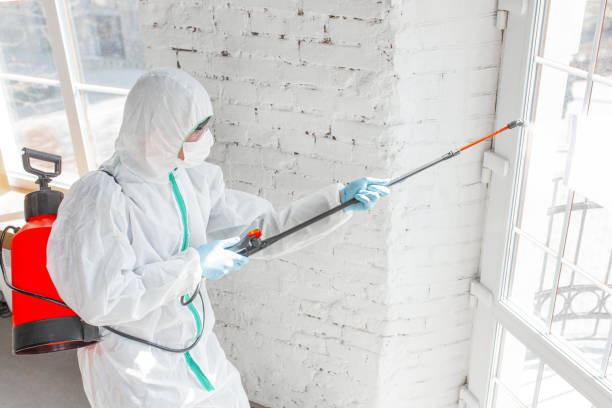 Trusted Murray, KY Mold Removal & Remediation Experts